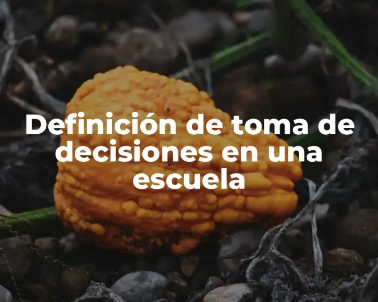 Definición de toma de decisiones en una escuela