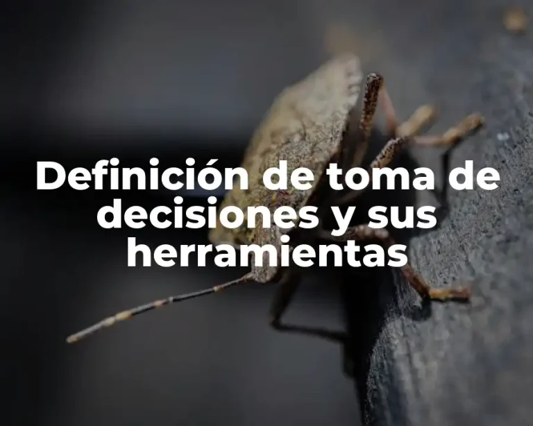 Definición de toma de decisiones y sus herramientas