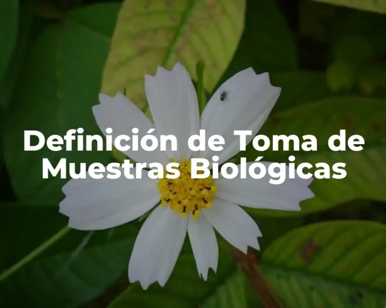 Definición de Toma de Muestras Biológicas