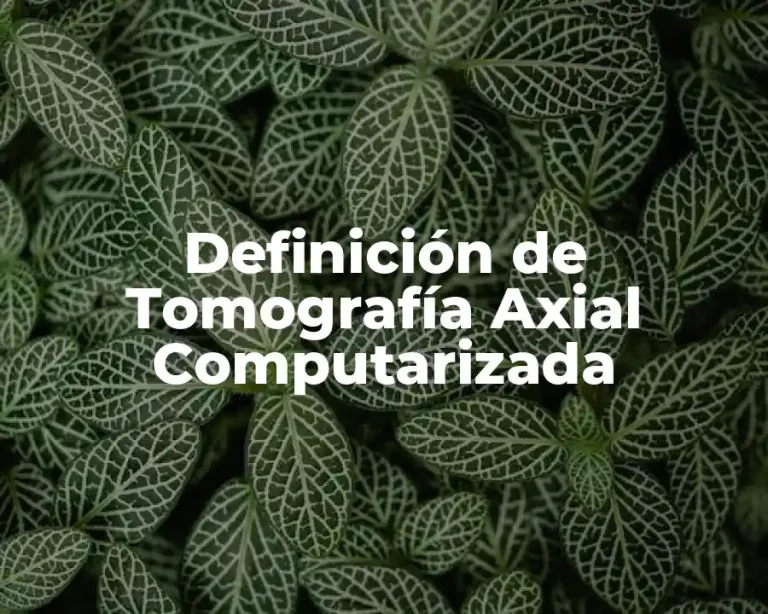 Definición de Tomografía Axial Computarizada
