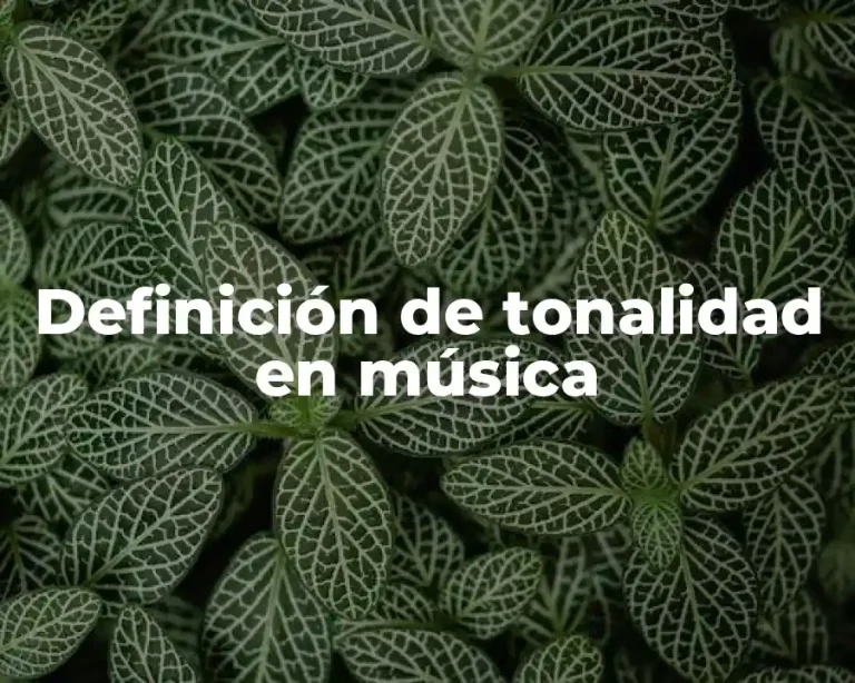 Definición de tonalidad en música
