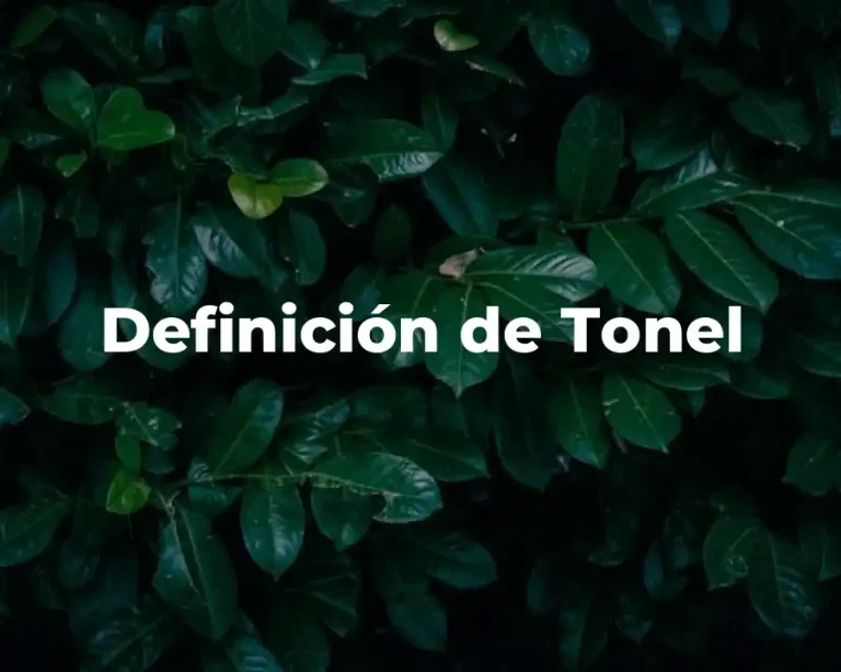 Definición de Tonel