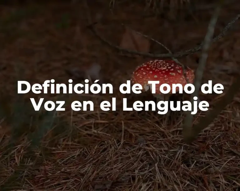 Definición de Tono de Voz en el Lenguaje