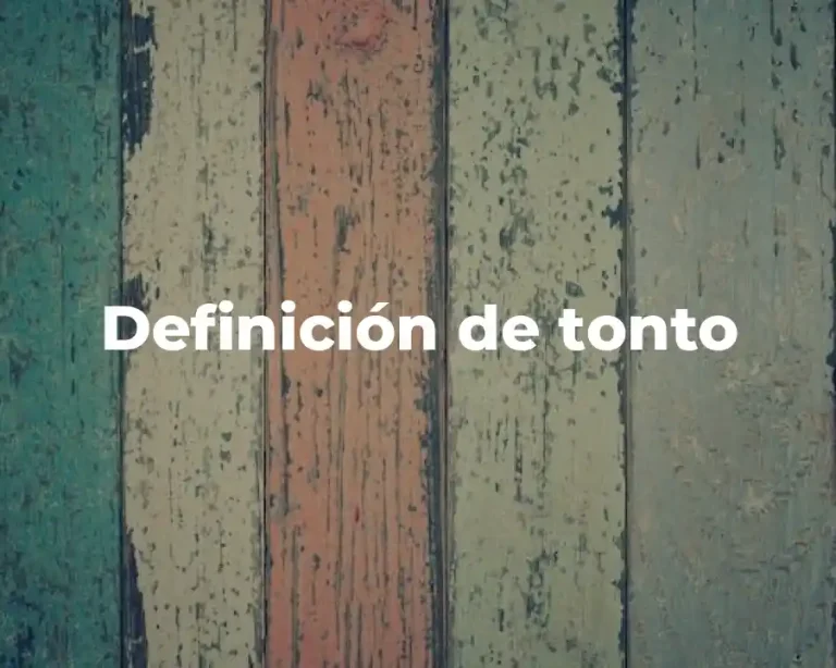 Definición de tonto
