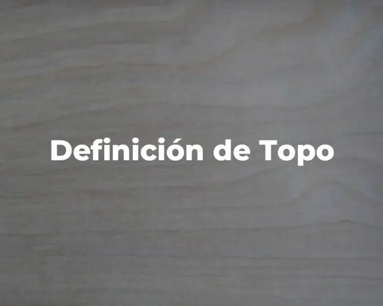 Definición de Topo