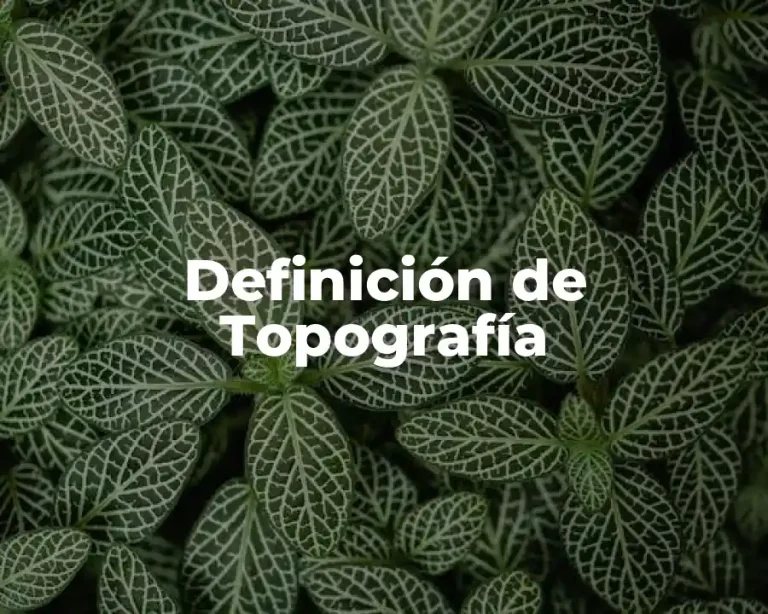 Definición de Topografía