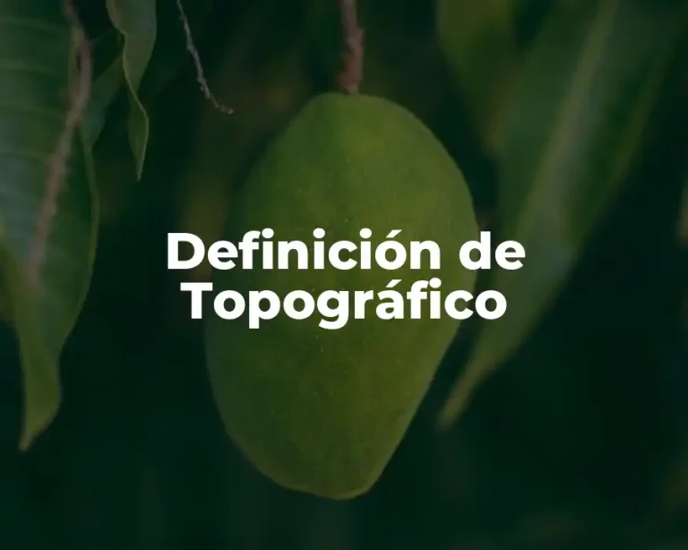 Definición de Topográfico