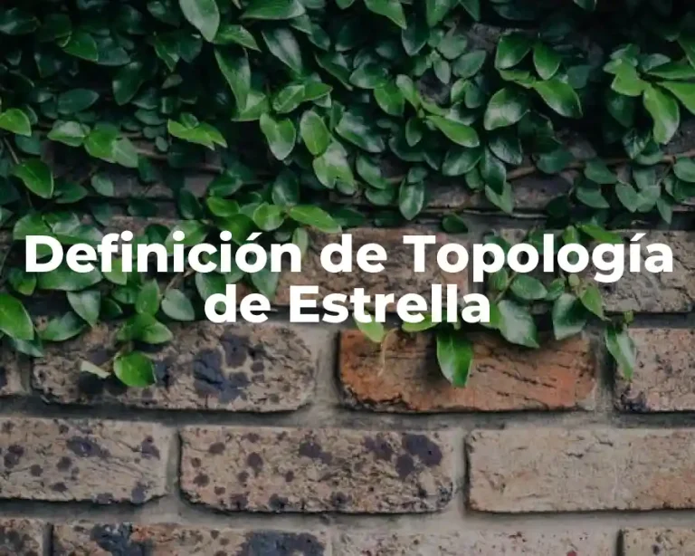 Definición de Topología de Estrella