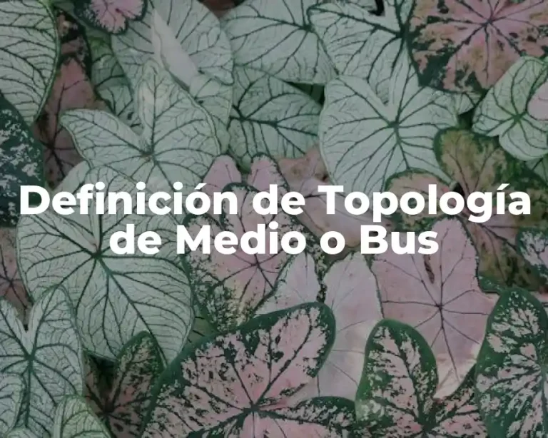 Definición de Topología de Medio o Bus