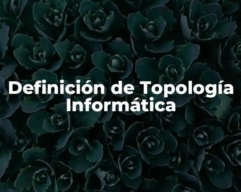 Definición de Topología Informática