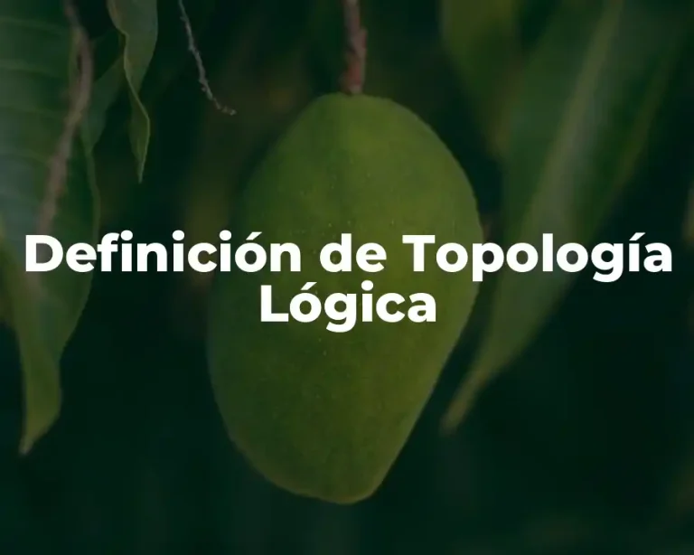Definición de Topología Lógica