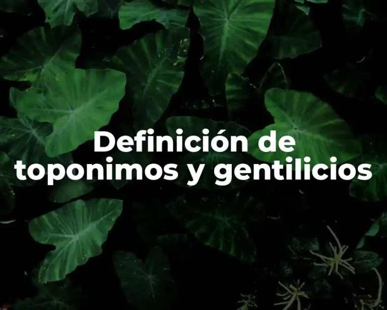 Definición de toponimos y gentilicios