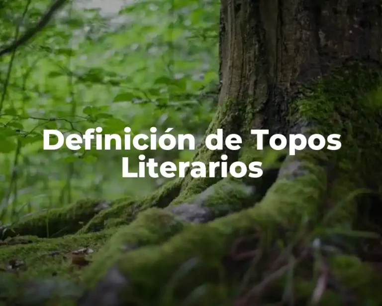Definición de Topos Literarios