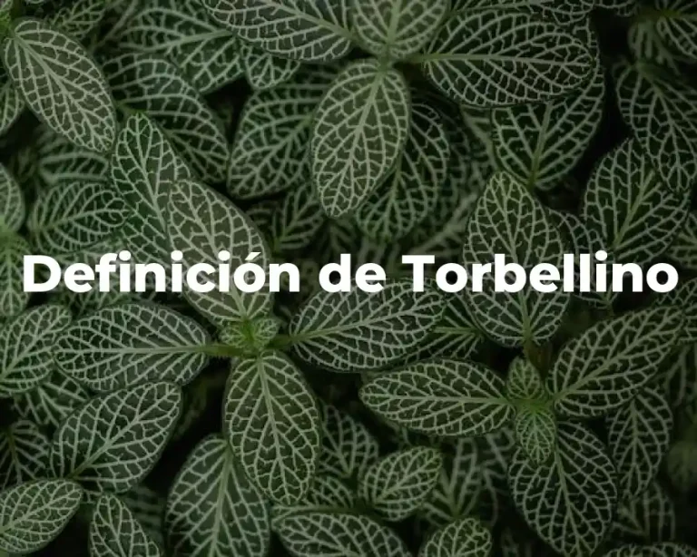 Definición de Torbellino