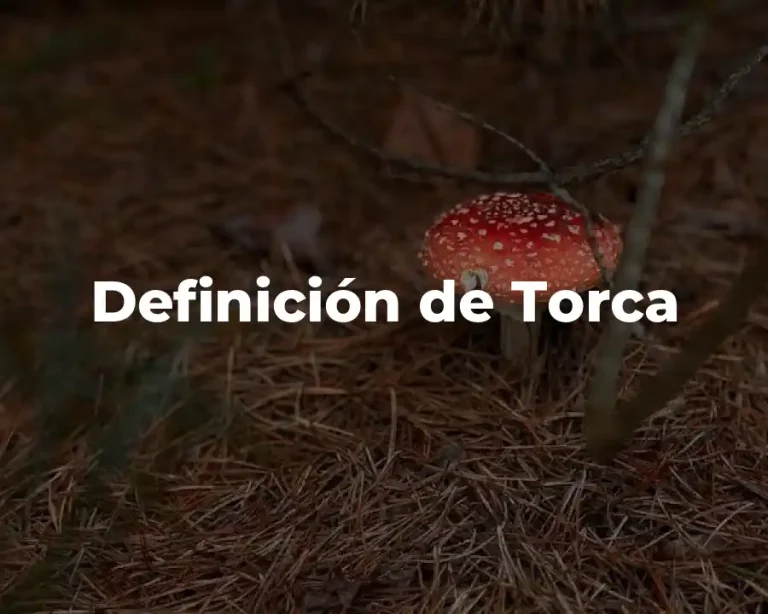Definición de Torca