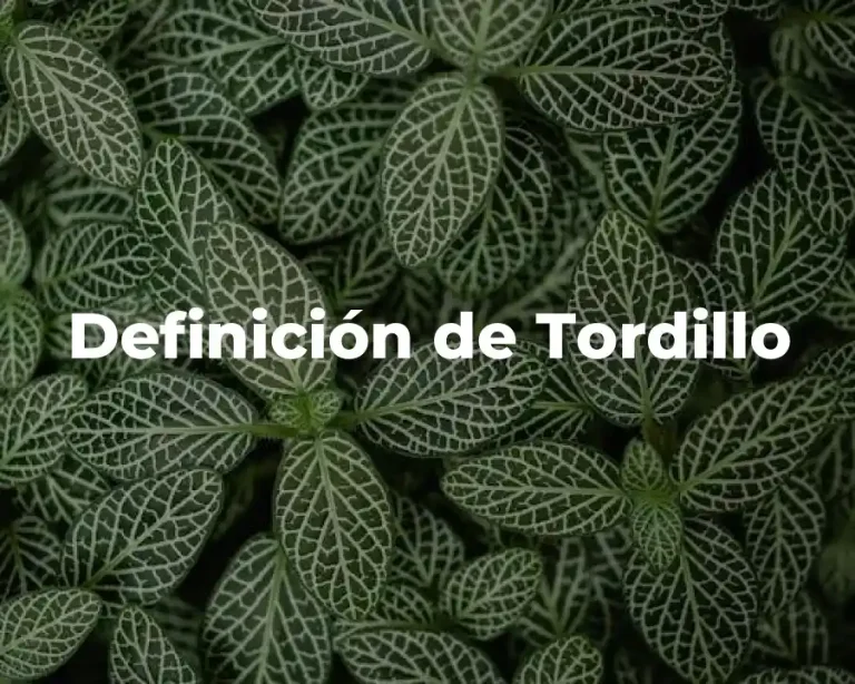 Definición de Tordillo