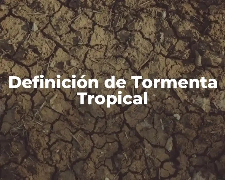 Definición de Tormenta Tropical