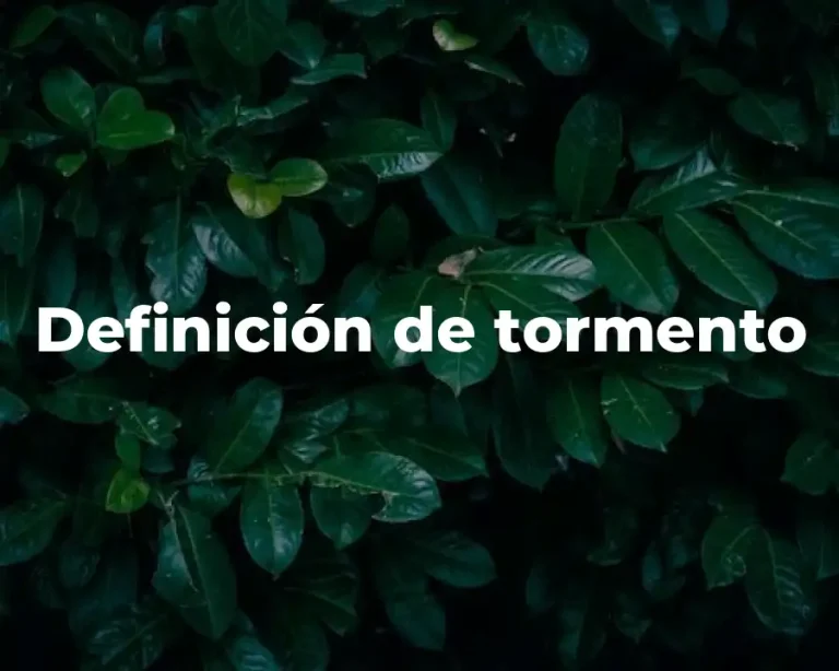 Definición de tormento