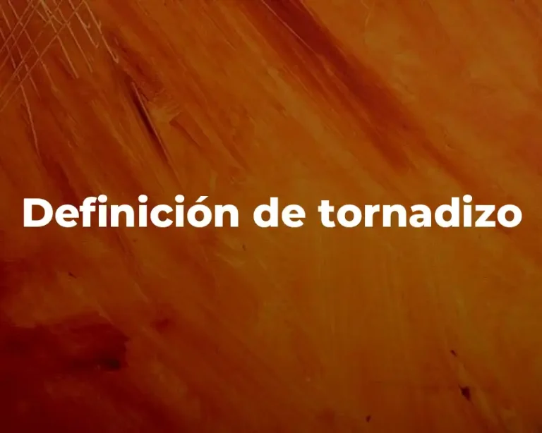 Definición de tornadizo