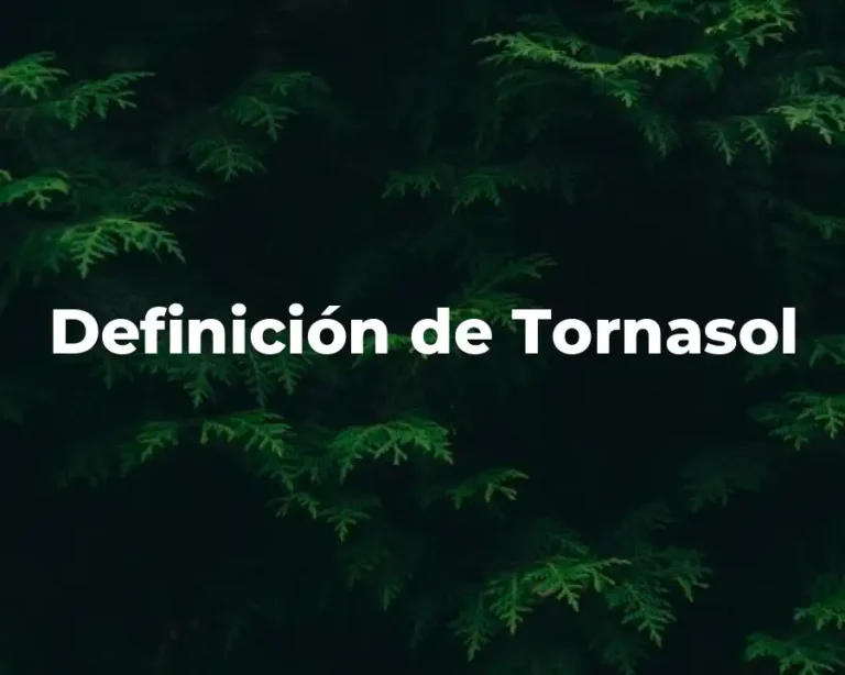 Definición de Tornasol