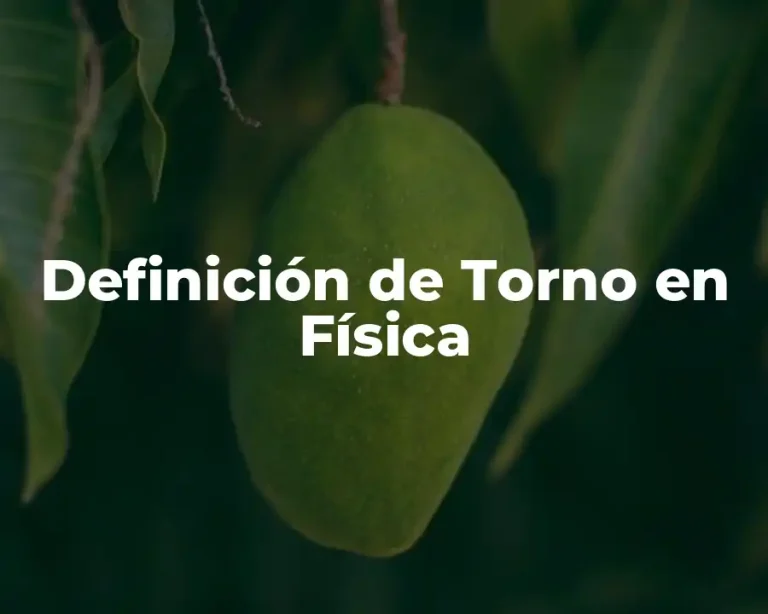 Definición de Torno en Física