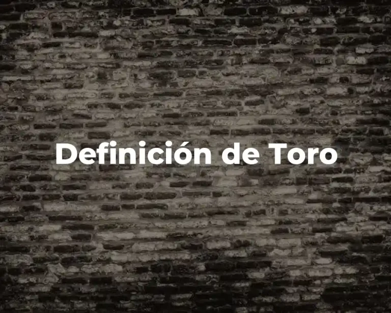 Definición de Toro