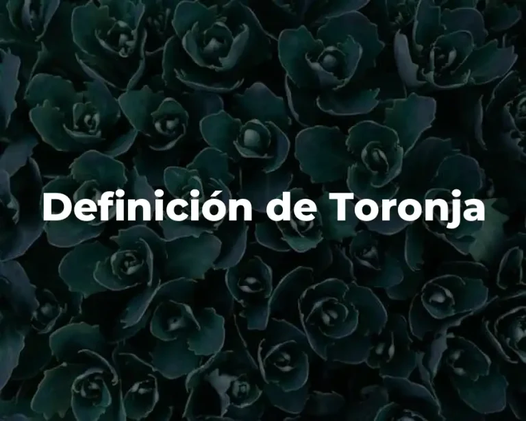Definición de Toronja
