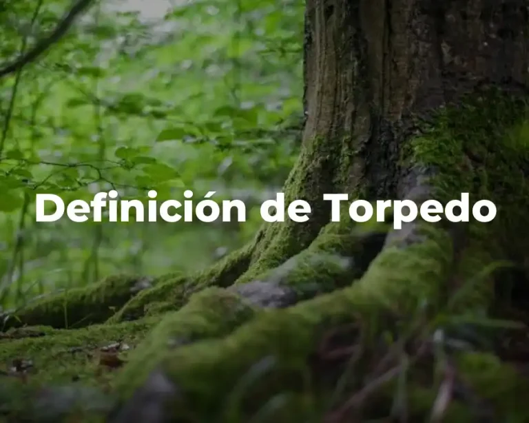 Definición de Torpedo