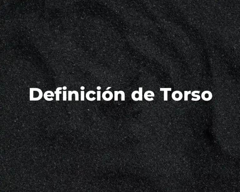 Definición de Torso