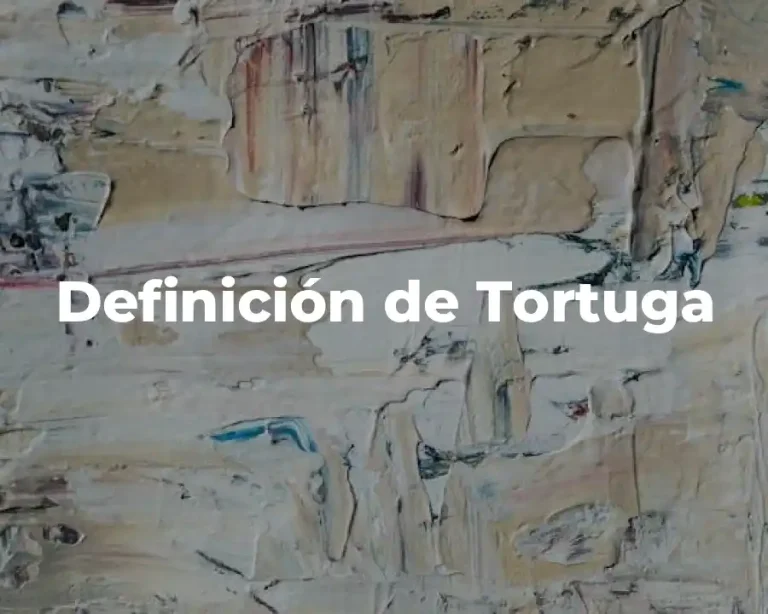 Definición de Tortuga