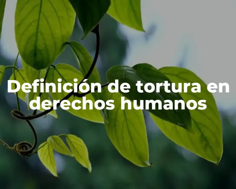 Definición de tortura en derechos humanos
