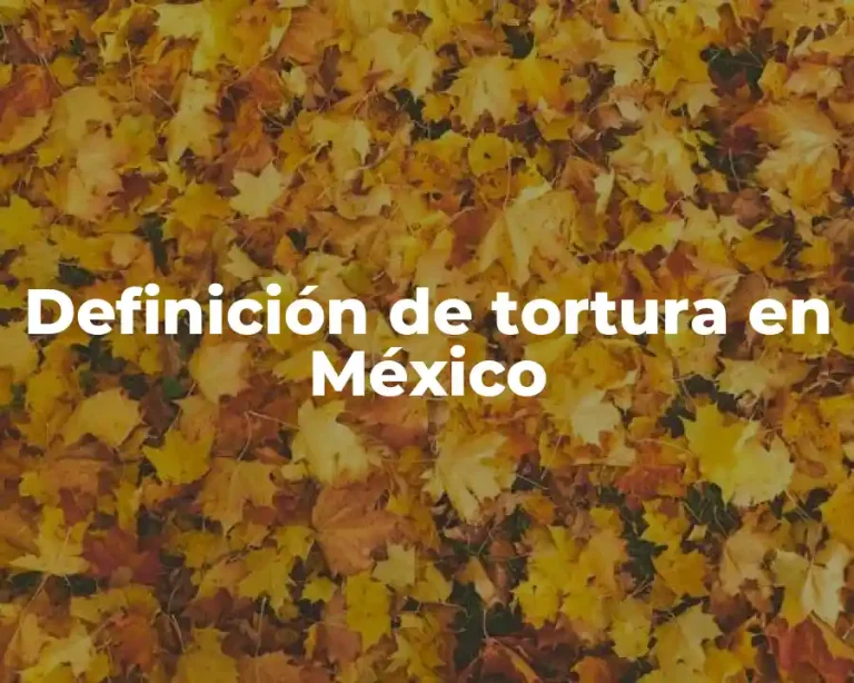 Definición de tortura en México