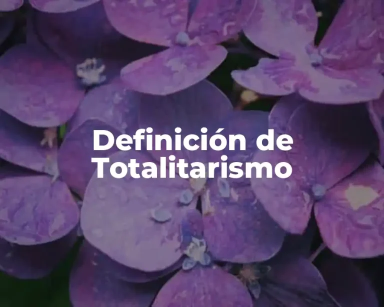 Definición de Totalitarismo