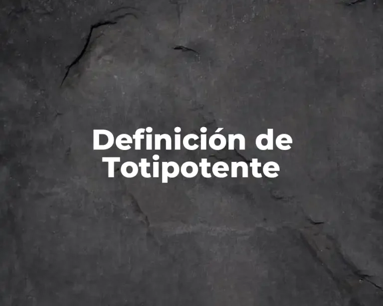 Definición de Totipotente