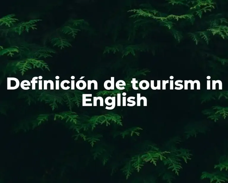 Definición de tourism in English