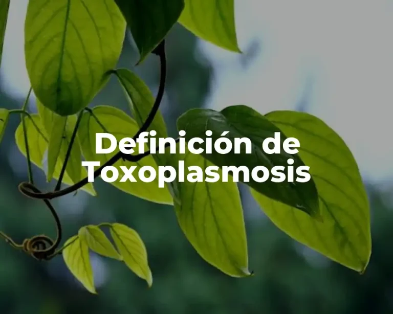 Definición de Toxoplasmosis