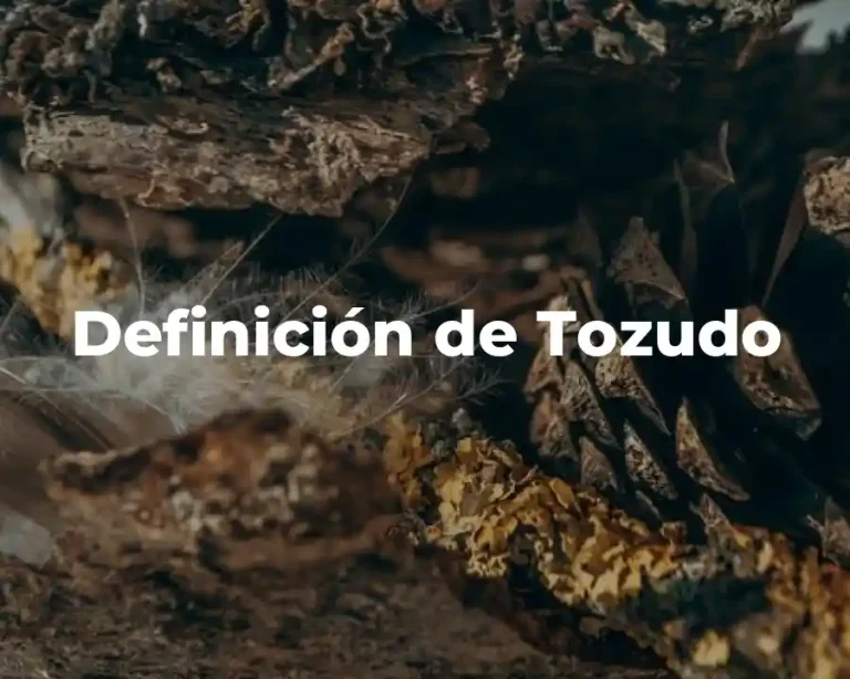 Definición de Tozudo