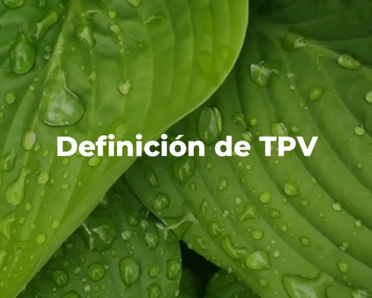 Definición de TPV