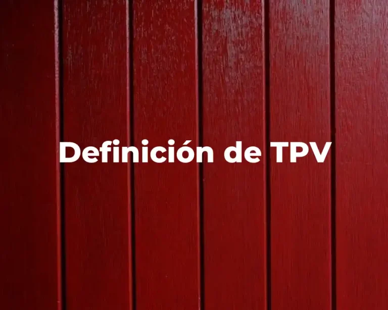 Definición de TPV