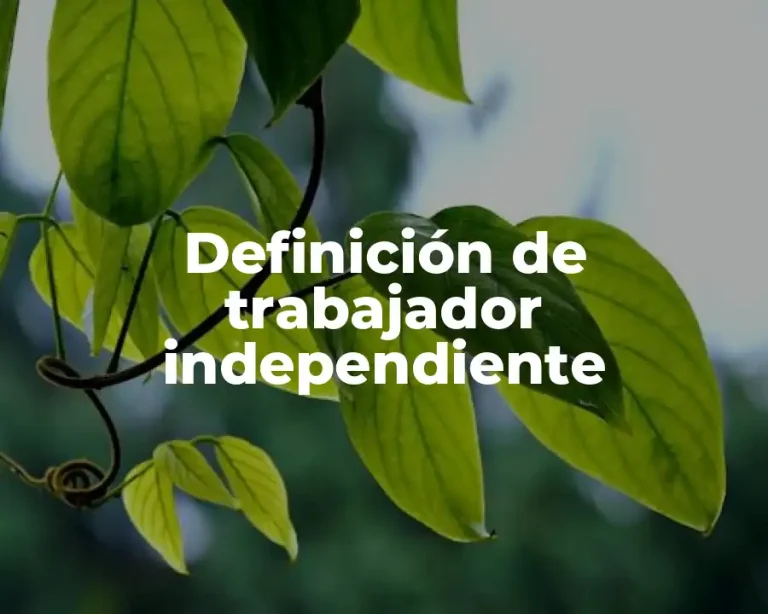 Definición de trabajador independiente