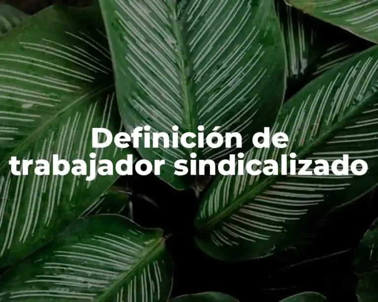 Definición de trabajador sindicalizado