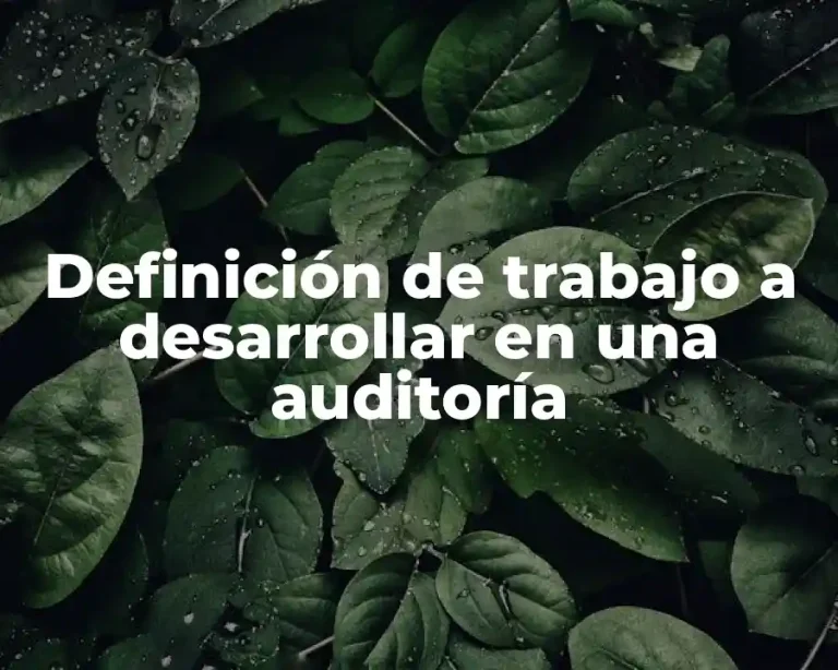 Definición de trabajo a desarrollar en una auditoría
