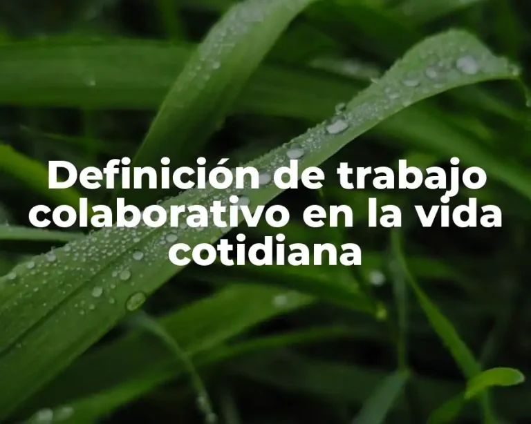Definición de trabajo colaborativo en la vida cotidiana