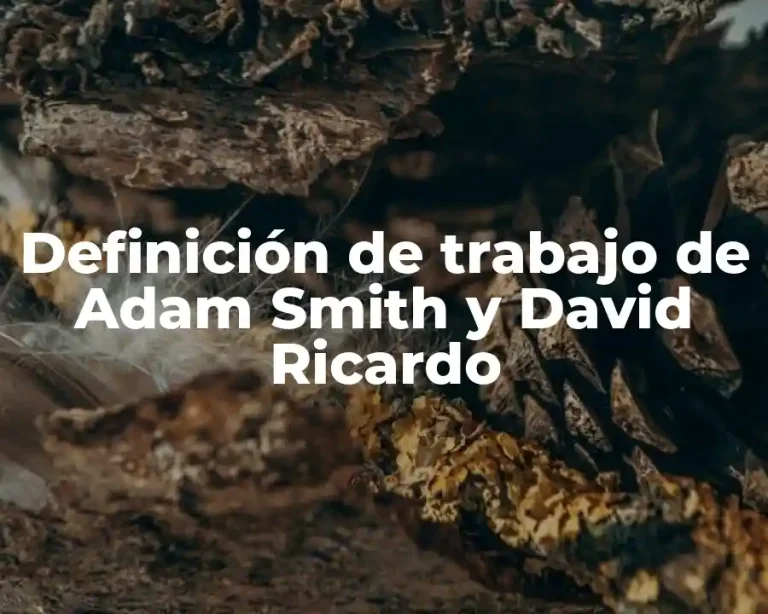 Definición de trabajo de Adam Smith y David Ricardo