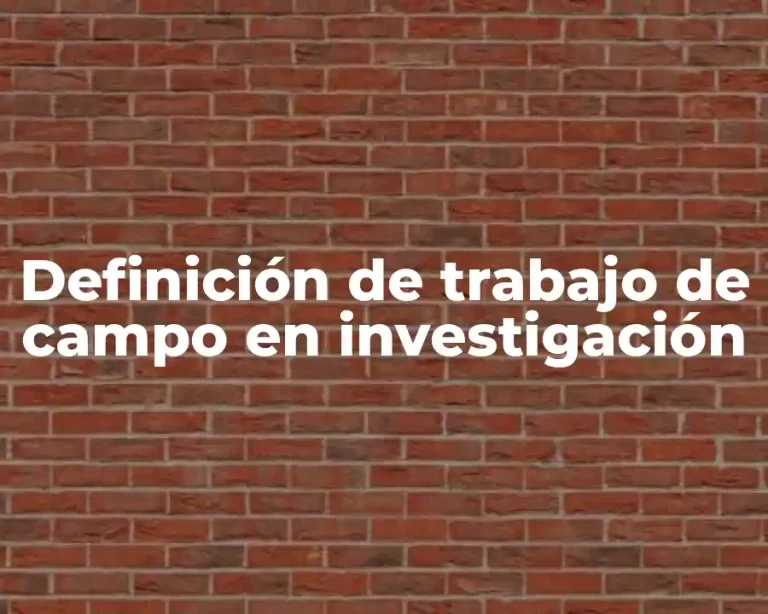 Definición de trabajo de campo en investigación