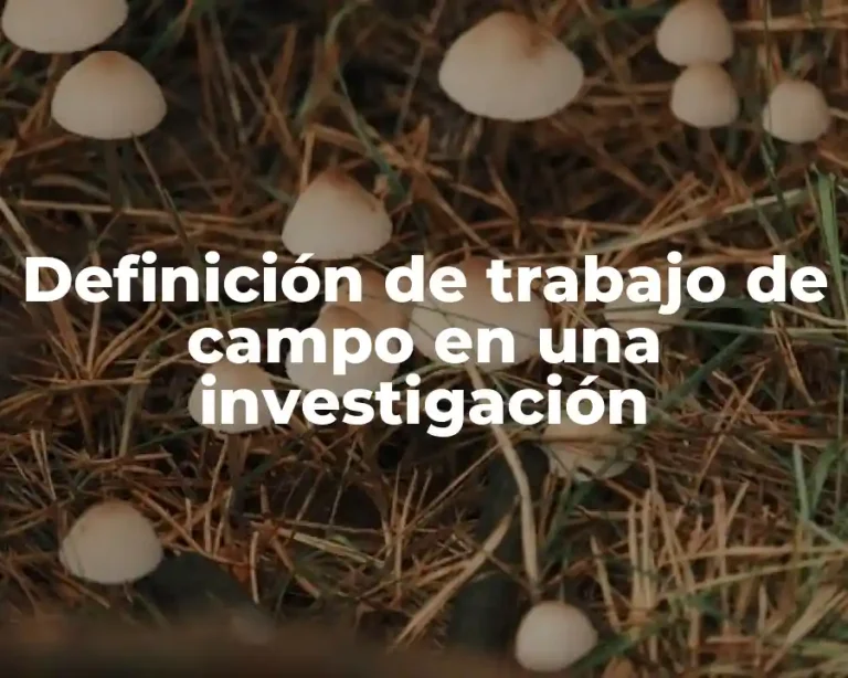 Definición de trabajo de campo en una investigación