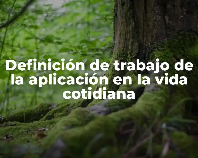Definición de trabajo de la aplicación en la vida cotidiana