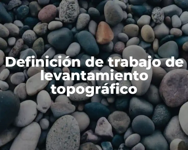 Definición de trabajo de levantamiento topográfico