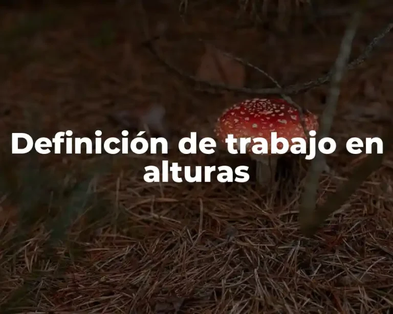 Definición de trabajo en alturas