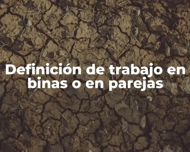 Definición de trabajo en binas o en parejas